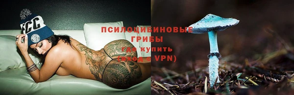 PSILOCYBIN Абинск