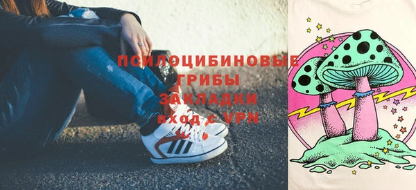 тгк Алзамай