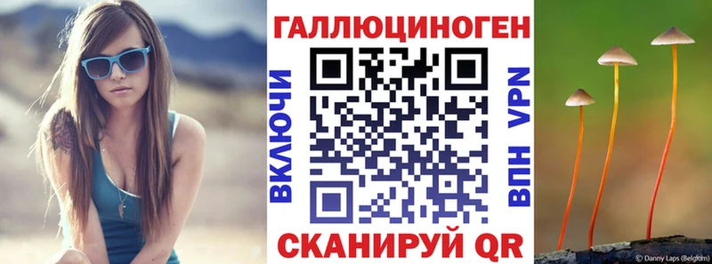 Псилоцибиновые грибы GOLDEN TEACHER  Волоколамск 